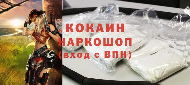 COCAIN Fish Scale  darknet как зайти  Кисловодск  как найти наркотики 